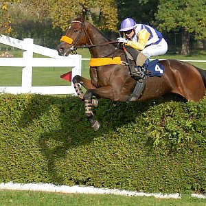 uw 10 09 negus des mottes