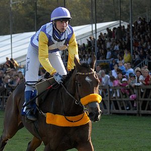 Pferdesport